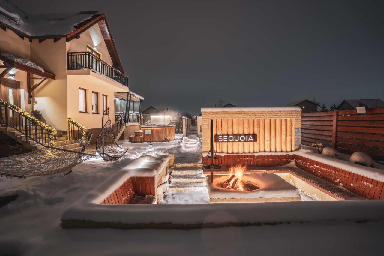 Roots Villa Sequoia براشوف المظهر الخارجي الصورة